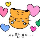 제천 그레이스 동물병원 이미지