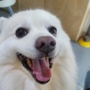 원종동물병원 이미지