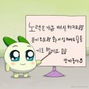 [ 매거진썸머 ] 뿌리가 튼튼한 사람이 되고싶어 | 일상 루틴 만들기 | 오늘이 만든 내일 이야기