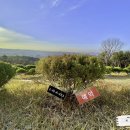 서울목장 이미지