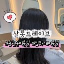 살롱드레이브