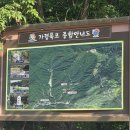 홍천 9경 용소계곡 가령폭포 후기 가리산 자연휴양림 근처 가볼 만한 곳