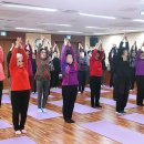 바른몸 요가교실 이미지