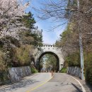 안민고개 정상 이미지