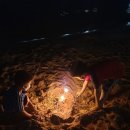 함덕치과의원 이미지