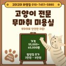 고미고미 | 부산 화명동 고양이무마취미용 고미고미 방문후기