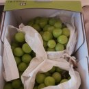 삼칠농장 이미지