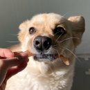 견식파티 이미지