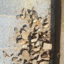 의성남부초등학교 병설유치원 이미지