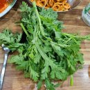 [대전역 로컬 맛집] &#34;복수 분식 본점&#34; 중구청역 두부두루치기 내 돈 내산 후기