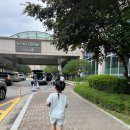 🏞️ 여름엔 오션월드! 아이들과 함께한 홍천 비발디파크 여행기