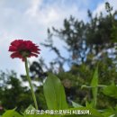 마음 이미지