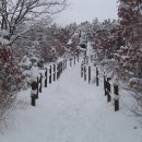 고산골 4 이미지