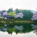 봄날 - 해남군 천변2길 23 | 봄날