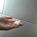 (서부권)자연을 담은 천연염색 | 올리브영 헤어 트리트먼트 추천! 바디브 미오 트리트먼트 후기, 상한 염색머리에 향기까지 완벽