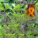 몽통구리 이미지