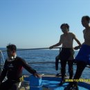 행복한해적 이미지