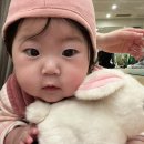 근로자문화센터 | 서면 롯데백화점 문화센터 파니파니 봄학기 후기 (사진많음..)