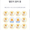 버거플렉스 이미지