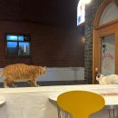 금오산로-25 이미지