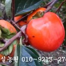 대봉 이미지