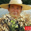 기풍농장 이미지