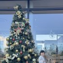 카페디오 | 대형 애견 동반 카페 디오 슬로 방문 후기｜아이 동반 가능, 노키즈존 구분