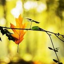 당신있어좋은세상 이미지