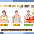 미라클푸드 이미지
