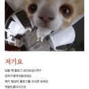 썸머디자인 이미지