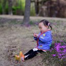 연수체육공원 이미지