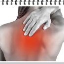 새롬의원 이미지