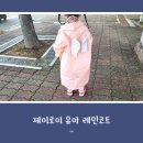 유아레인코트 추천, 착용하기 편리한 우리 아이 우비 제이로이 우비 후기