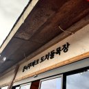 인기척 게스트하우스 | [일상 별책부록/24.03.25~26] 이전 제주여행 조각모음으로 새로운 제주여행 만들기