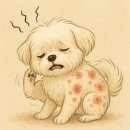 하나로365약국 이미지