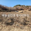 호동리 티스토리