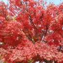 송삼농장 이미지