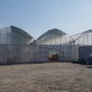 만석농장 이미지