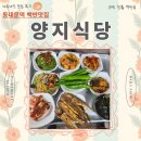8.15식당 | 동대문 맛집_내돈내산♪점심 백반 단돈 8천원! 31년 전통 양지식당 맛집후기(feat.금요일은 제육먹는 날!)