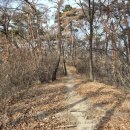 무룡축산 이미지