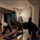 [YOGA] 강남 요가,신사동 요가‘샤이옴요가’ 방문 후기 | 내부,탈의실,요가룸_따뜻한 공간에서 힐링한...