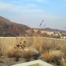 소소한 일상 드로잉 | 여유로운 휴식 감성 드로잉 - 서로 연결되는 아름다운 구조의 복합문화공간, 용인 수지의 마지모우 카페
