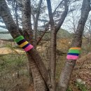 자진뱅이길 이미지