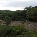 소나무숲 - 옹진군 영흥로685번길 72 | 소나무숲