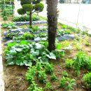 약수초등학교 이미지