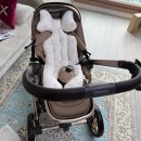 그 꼴로 산책가개? | [육아] D+100일이 된 아기와 오이스터4 구매후기!(내돈내산)