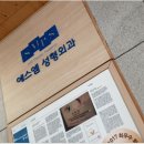 에스엠성형외과 네이버블로그