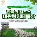 우산목장 | “대관령 양떼목장 여름 방문 후기｜강릉 아이와 가볼만한곳 BEST, 네이버 예약 할인 꿀팁까지!”