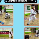 경희대명문태권도