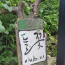 원주 디저트 카페 들꽃이야기 후기